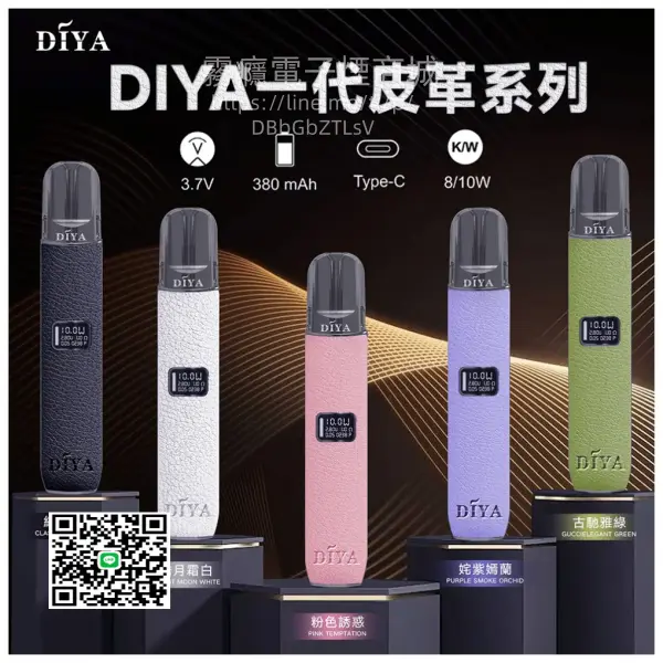 DIYA叮啞皮革主機